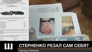 СТЕРНЕНКО ПОВРЕДИЛ САМ СЕБЯ? На суде показали нож радикала