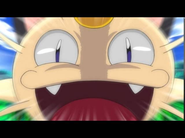 SEEL!!” 😭😭 #pokemon #meowth #seel #sus #fyp