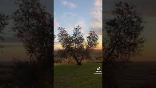 aesthetic nature tik tok