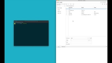 New Selenium IDE: Parallel Execution with the Runner (2019)