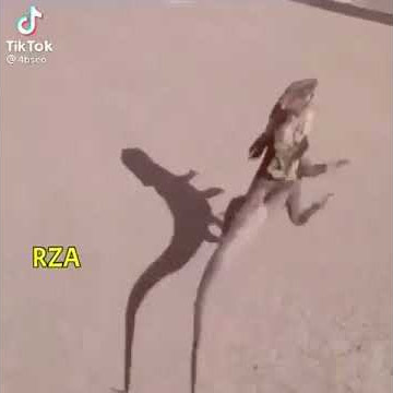 هههههههههههههههه😂😂😂