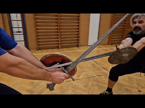 Sword & small shield - fight compilation