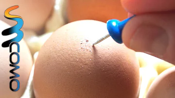 Como tirar ovo para pintar?