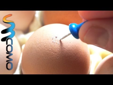 Vídeo: Como Remover O Conteúdo De Um Ovo