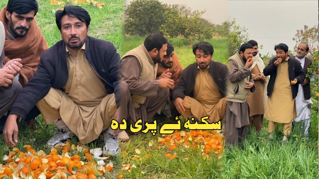 Sakana Ye Free Da | Pashto Funny Video New Drama Kaliwal Vines 2026