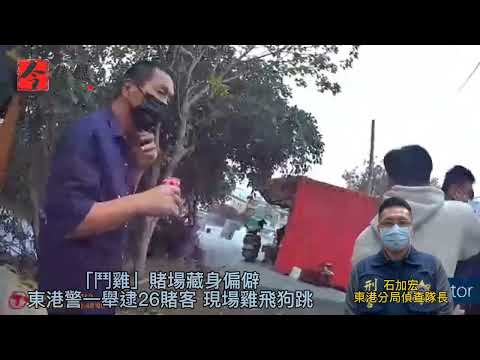 「鬥雞賭場」藏身偏僻 東港警一舉逮捕26名賭客 現場雞飛狗跳