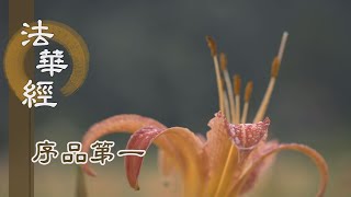 【靜思妙蓮華】法華經序品第一 - 乞法度眾 身心清淨 - 20200131 第141集