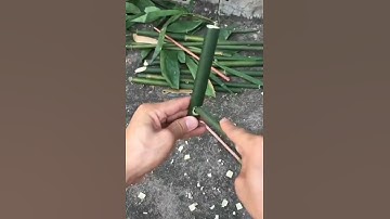 Ký ức tuổi thơ...