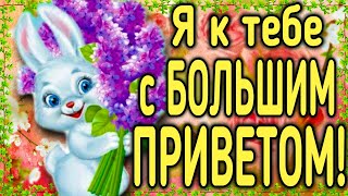 🔴 Тебе Привет! Я пишу и улыбаюсь! Ты читая - улыбнись!.. Будь в хорошем настроении, Чтоб...