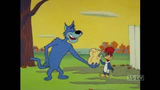 Woody Woodpecker 1961 - 108 - Sufferin' Cats