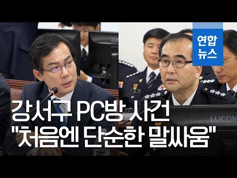 &#39;강서구 PC방 살인&#39; 국감서 초동대처 지적…서울경찰청장 &quot;처음엔 말싸움&quot; / 연합뉴스 (Yonhapnews)