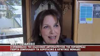 ΔΗΛΩΣΕΙΣ ΓΕΩΡΓΙΑΣ ΖΕΜΠΙΛΙΑΔΟΥ ΓΙΑ ΤΟ ΧΩΡΟΤΑΞΙΚΟ ΚΑΙ ΛΙΓΝΙΤΙΚΕΣ ΜΟΝΑΔΕΣ