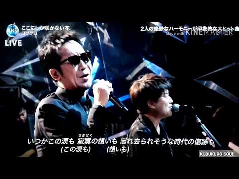 Fns歌謡祭19 コブクロ ここにしか咲かない花 Youtube