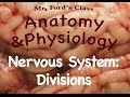 Nervous System Quiz