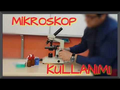 Video: Mikroskop Nasıl Kullanılır