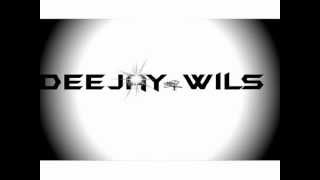 DeeJay Wils NMD Feat Katy Perry The One That Go Away Reggea Remix