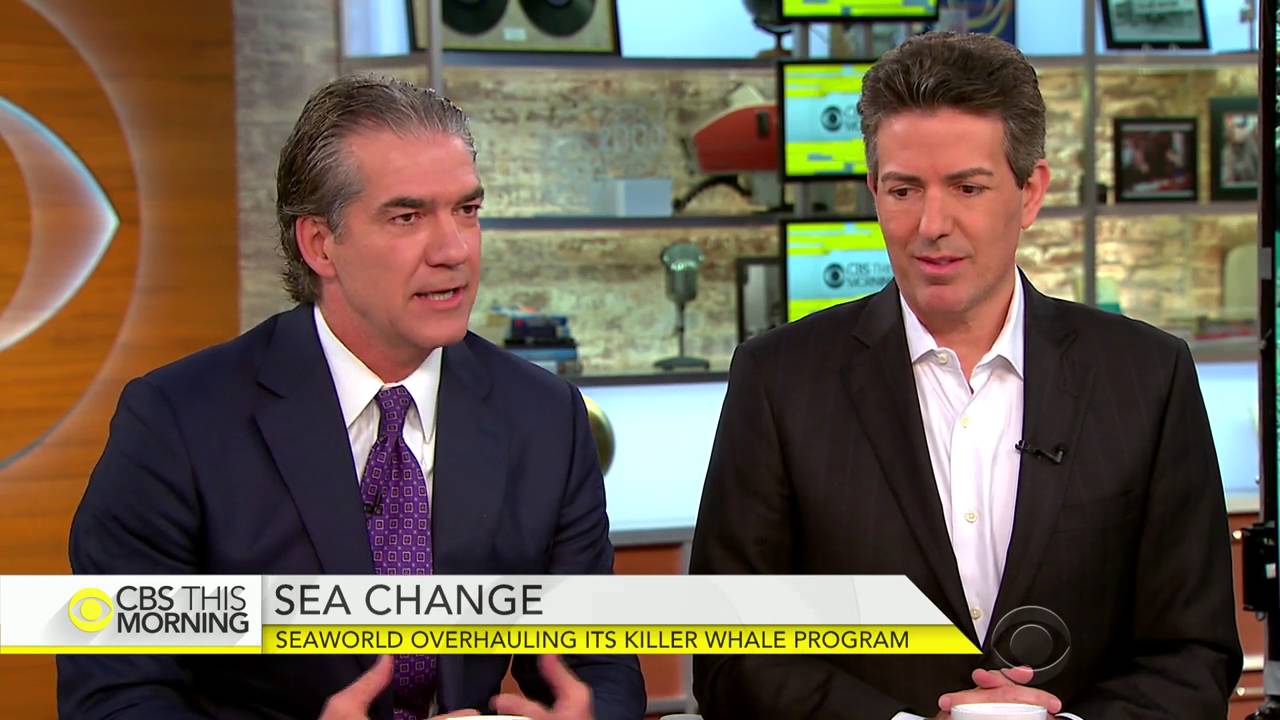 SeaWorld and Humane Society CEOs on ending orca breeding YouTube