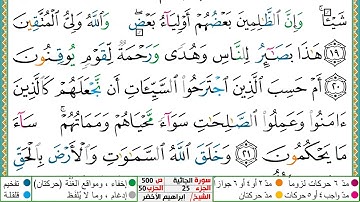 سورة الجاثية مكتوبة ابراهيم الاخضر دار المعرفة
