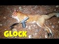 Predator Hunting With Glock 19! 9mm Predator Hunting!