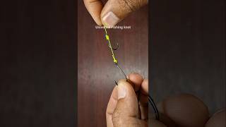 Easy Tips For Fishing V154