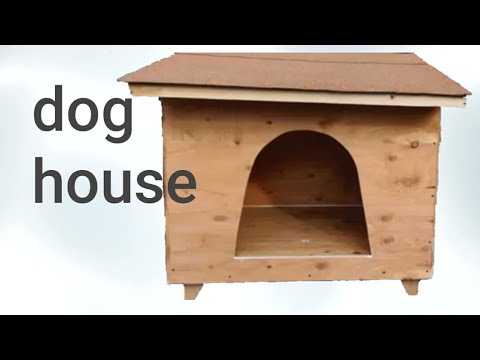 making-a-dog-house