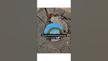 “Rate the transition: 1 to 10 in comments 🪩👇” #akritiarts #art #ytshorts #shorts