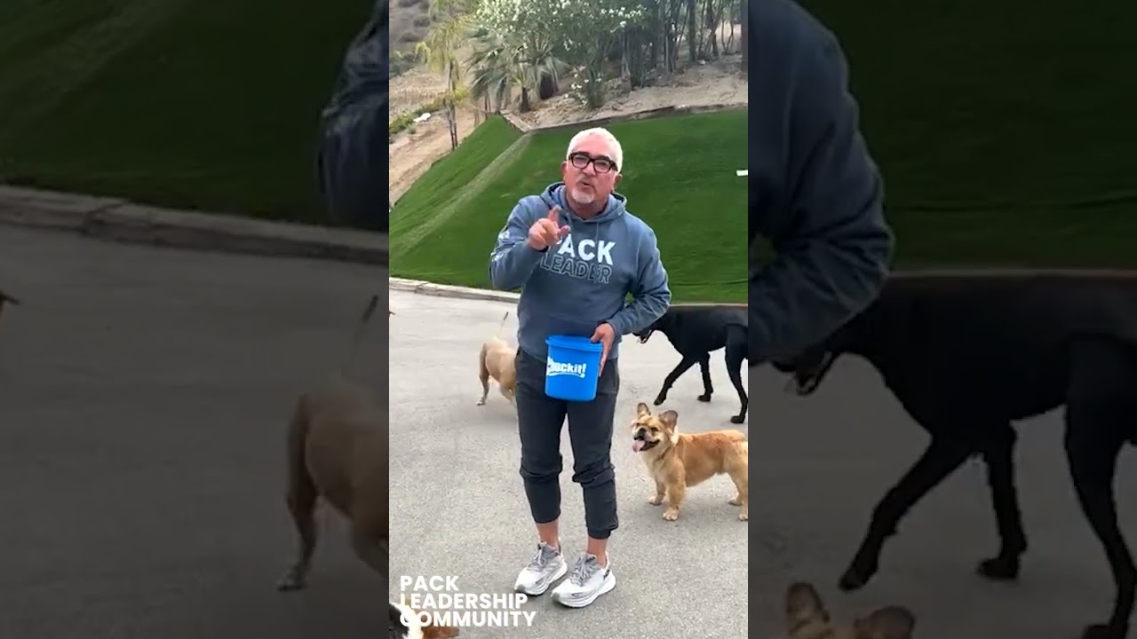How To Claim The Ball