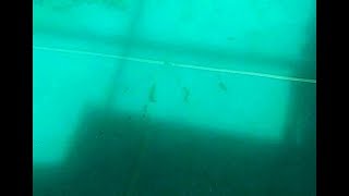 Remove Algae Dust From Bottom Of Pool, Quick And Cheap Remove Algae Dust From Bottom Of Pool, Quick And Cheap
