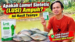 Download lagu Does Synthetic Moss (LUSI) Actually Work? Here Are the Test Results