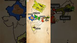 Leading Producer States of India 🇮🇳 | 1 Minute GK Shorts