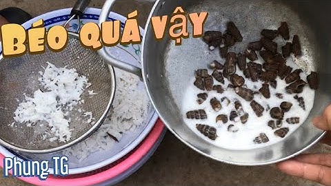 ỐC HÚT XÀO NƯỚC CỐT DỪA| PHUNG TG| Phần 2| Stir Fried Mud Creeper with Coconut Cream