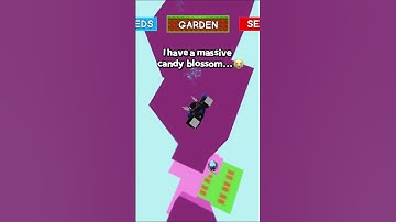 Thumbnail of 😱 roblox massive candy blossom in grow a garden