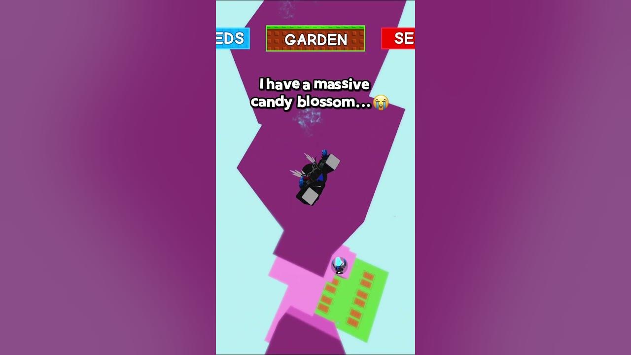 😱 roblox massive candy blossom in grow a garden