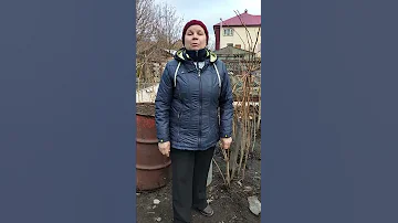 #SHORTS Чем оградить малину, на какую глубину?