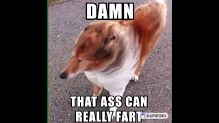 Damn, that ass can really fart