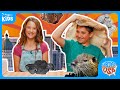 Unboxed USA: Discovering Utah