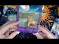 Animal Tarot Cards Guidance reading