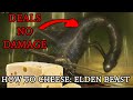 HOW TO CHEESE: ELDEN BEAST AND RADAGON in Elden Ring