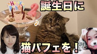 【猫】シャルの誕生日なので、手作り猫用ケーキあげてみた！（猫パフェ）2018/8/5