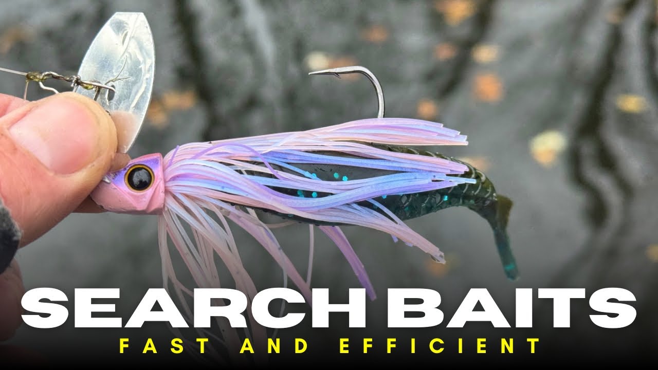 These Search Baits Are Amazing At Finding Bass Fast!