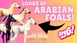 BREEDING A BARN FULL OF BEAUTIFUL AND RARE ARABIANS! RIVAL STARS HORSE RACING