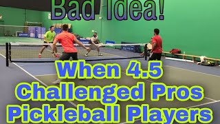 4.5 Challenging Pros Players Pickleball men's doubles Rec game