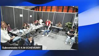 Continuacion Audiencia de Escrutinios Consulados