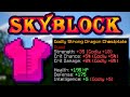 Solo Hypixel SkyBlock [41] Full Godly Strong Dragon Armor | MASSIVE DAMAGE