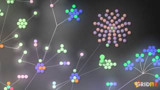 Gridite's Creation Visualized by Gource