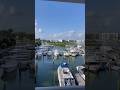 Morning Views from Jupiter Harbour 🌴🚤 | Jupiter Florida Waterfront Living
