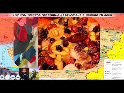 Экономическое развитие Казахстана в начале ХХ века