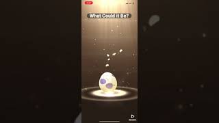 Whats In That Egg? 10Km Egg Hatch Part 1 Pokémon Go