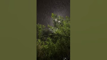 سوره طه [ من 25 الى 29 ]
