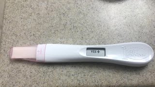 First Response Triple Check Pregnancy Test Kit Review - How Effective Is It [2023]